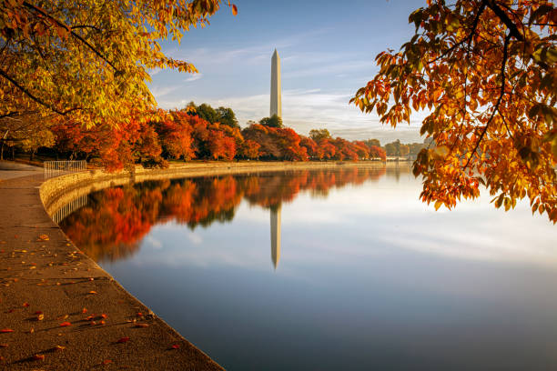 washington dc en el otoño - monumento fotografías e imágenes de stock