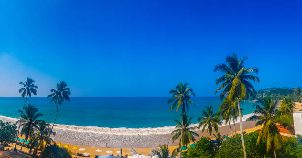 istock Beautiful paradise tropical beach waves palms Mirissa Beach Sri Lanka. 1668656107