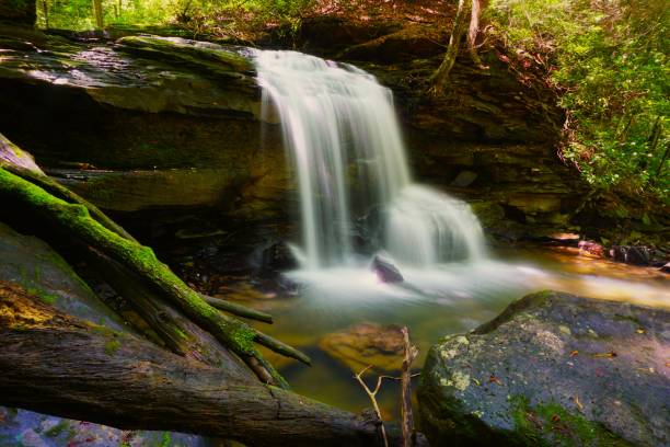 istock 202107 Ohiopyle SP PA 1668713709