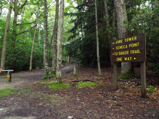 istock Seneca Point Trail Cook Forest State Park Pennsylvania 1668723238