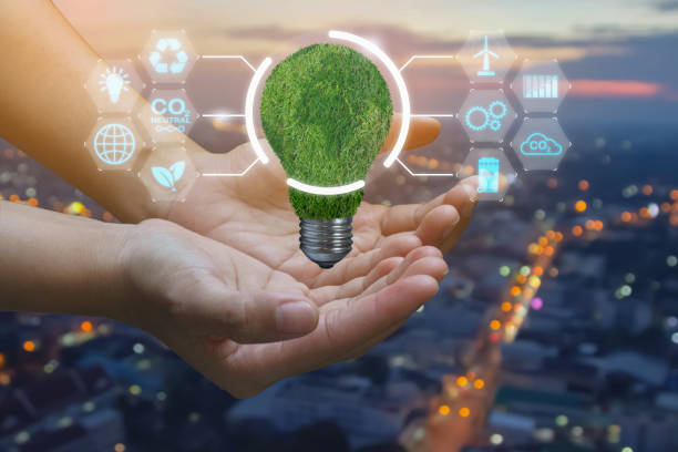 istock Hand holding green world map on light bulb, Renewable energy and sustainable development - Ecology and global sustainability concept. Saving environment on with a renewable energy source with icons. 1668729128