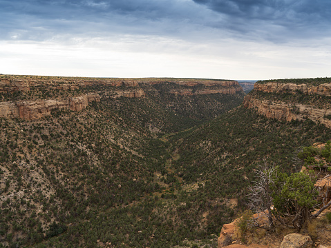 Mesa Verde National Park canyon landscape