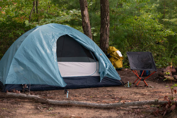 istock Cozy campsite in the forest 1668825131