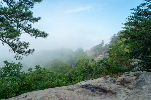 Foggy sunrise on a mountain