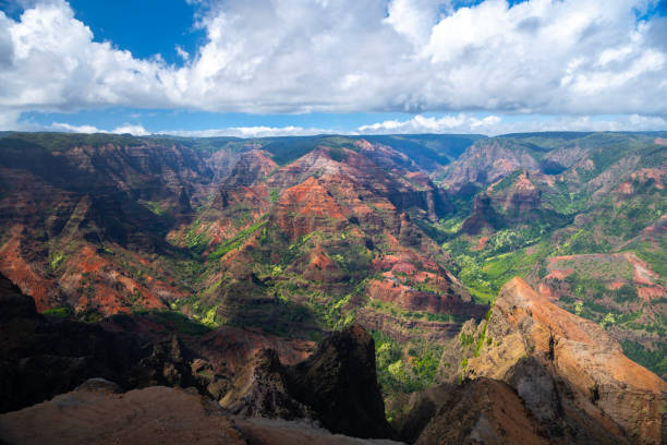 istock Waimea Canyon State Park 1668856370