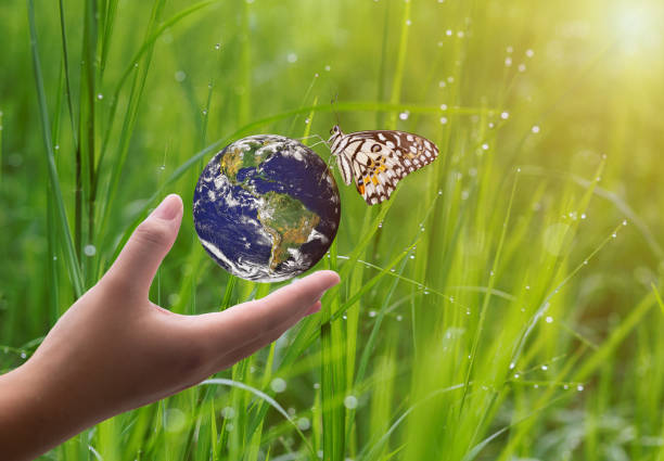istock Globe hand holding butterflies perched on bright green fields in the background. Concept concept, protect environment. save the world from pollution clean or renewable energy 1668938514