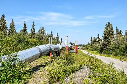 The Trans Alaska Pipeline makes it way across the many miles of Alaska.  The pipeline carries oil from Northern Prudoe Bay to the Port of Valdez in the South.