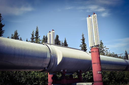The Trans Alaska Pipeline makes it way across the many miles of Alaska.  The pipeline carries oil from Northern Prudoe Bay to the Port of Valdez in the South.