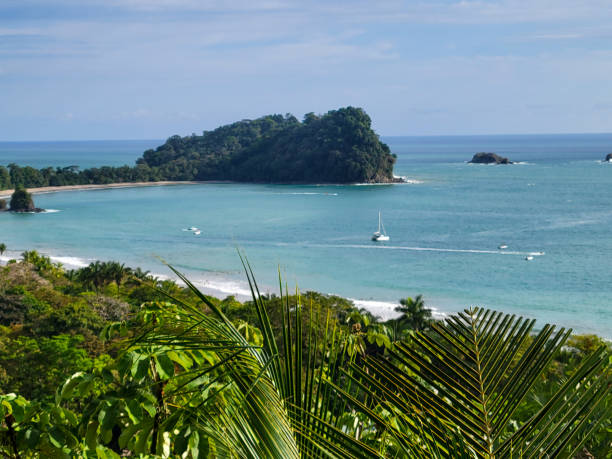 istock Tropical rain forest by the beach 1669064188