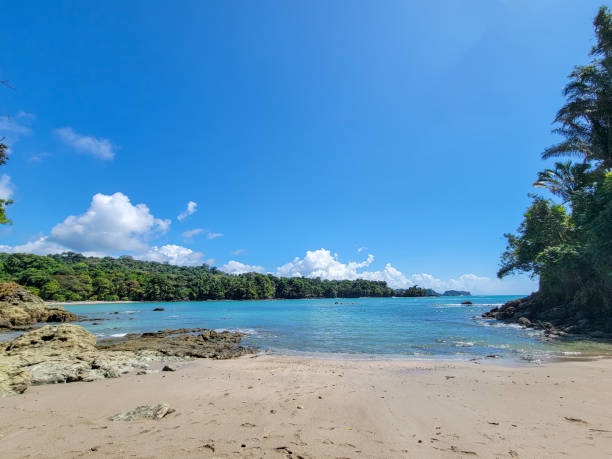 istock Tropical rain forest by the beach 1669064493