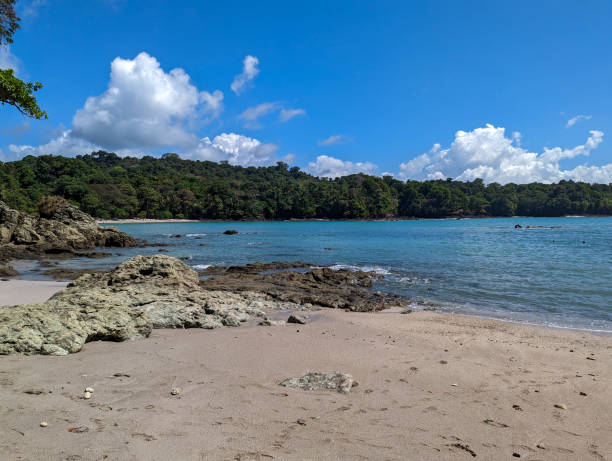 istock Tropical rain forest by the beach 1669064715