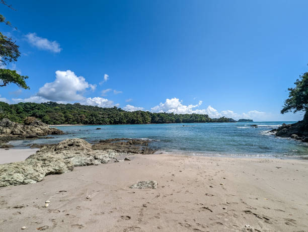 istock Tropical rain forest by the beach 1669064716