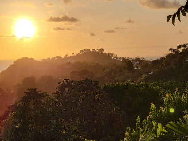 Hazy sunset over a tropical rainforest
