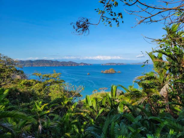 istock view of the ocean from the rainforest 1669065243
