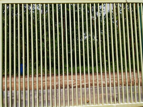 Green fence and gap shadow