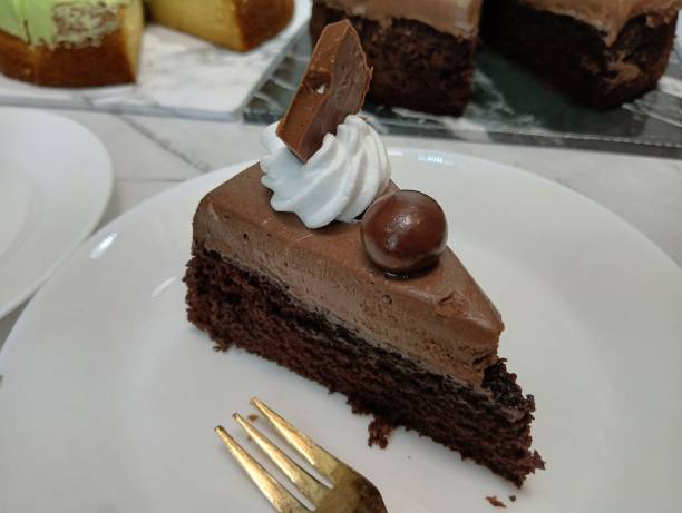 istock a piece of delicious chocolate cake. 1669087325