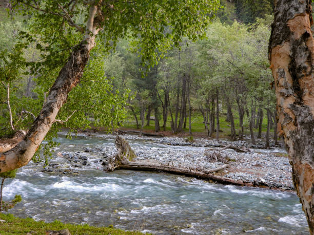 istock Domail Valley's Majestic Serenity 1669193453