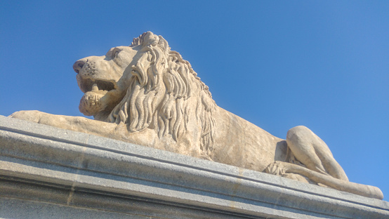 One of the lions at the old Bridge of Lions in St Augustine, Florida. The bridge of Lions was finished in 1927 and a pair of copies of the 16th century Medici lions guard the bridge. The lions also commemorate the arrival of Ponce de Leon to Florida in 1513.