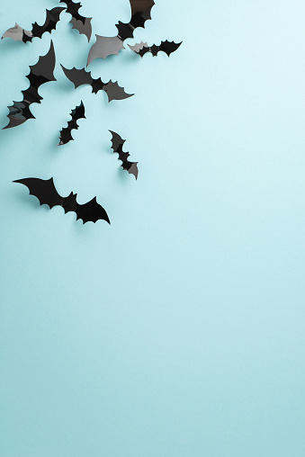 Step into the ambiance of eerie Halloween celebration. Top-view vertical shot highlighting black paper bats on a pastel blue isolated background with copy-space suitable for advertising or text use