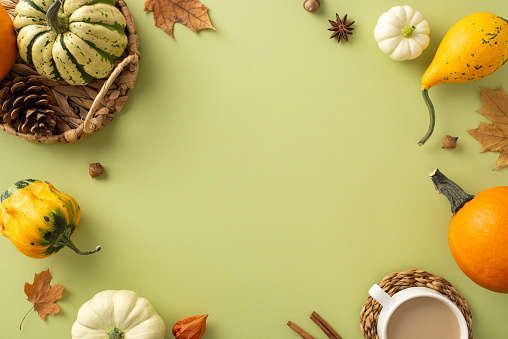 Thanksgiving theme captured from top view: abundant harvest, raw pattypans in a rustic wicker basket, aromatic coffee, cinnamon, foliage, physalis and more on soft green backdrop with frame for text
