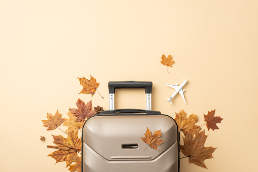 Sueños de viaje de otoño. Una toma aérea que muestra una maleta gris rodeada de hojas de arce y un modelo de avión sobre un fondo beige pacífico, ideal para sus necesidades promocionales o textuales photo