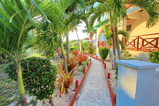 istock The Bahamas tropical islands 1669435244
