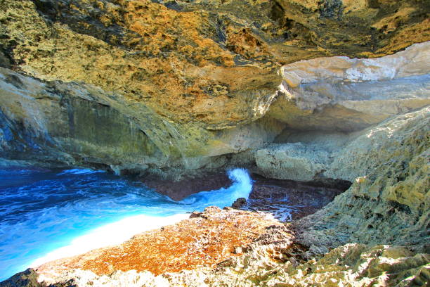 тропические острова багамских островов и геология - eleuthera island стоковые фото и изображения