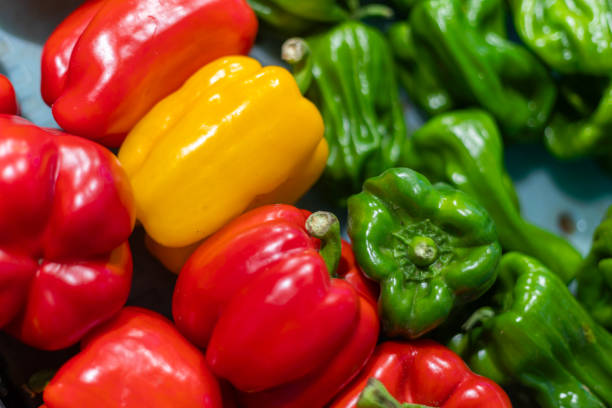pimientos dulces rojo, verde y amarillo - green bell pepper bell pepper red bell pepper groceries fotografías e imágenes de stock