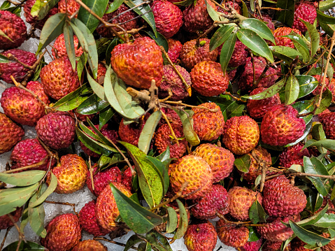 Close up of a basket of dragon fruit on a fruit and vegetable stall.  Of the pieces of fruit is cut in half.