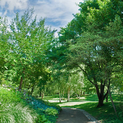 Summer garden with green lawns, flowers and alley.