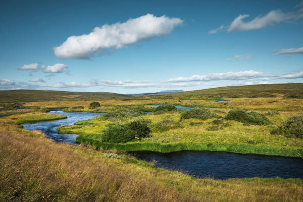 Idyllic landscape with the Laxa river in Iceland on a sunny summer day.