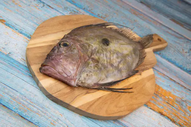 Saint-Pierre Seafish, Zeus Faber, John Dory, Pez de San Pedro, fish, isolated on cutting board background. High quality photo