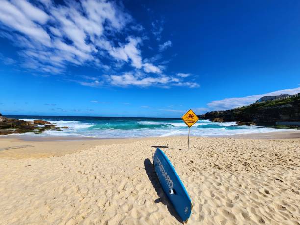Sandy Bay Beach with a Large Blue Surf Board
