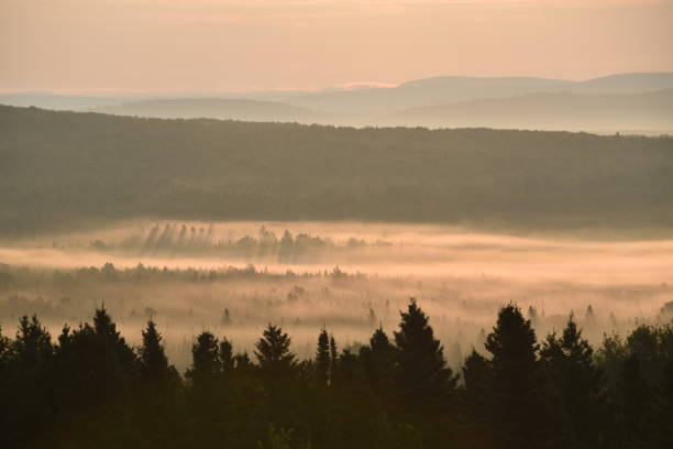 660+ Matin Their Stock Photos, Pictures & RoyaltyFree Images iStock