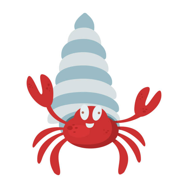 hermit crab. summer sea beach concept hermit crab. summer sea beach concept hermit crab stock illustrations