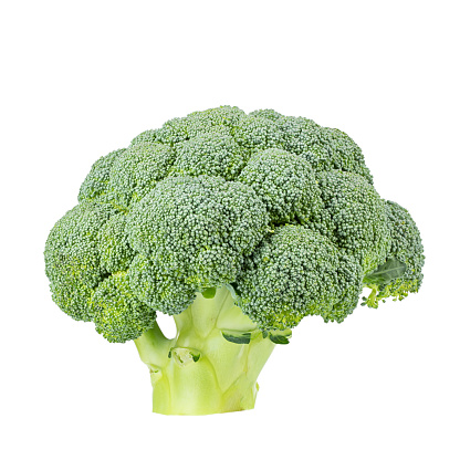 Fresh broccoli isolated on white background. File contains clipping path. Full depth of field.