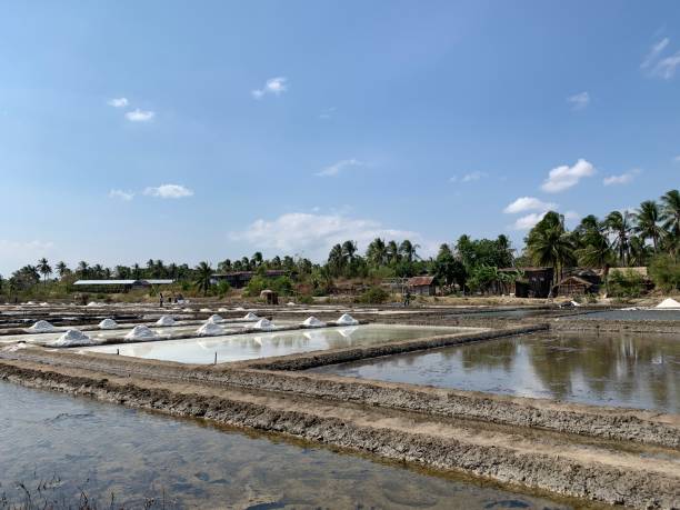 istock view of salt production on the seafront 1669804061