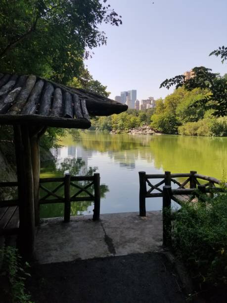 istock View of the lake in central park 1669820599