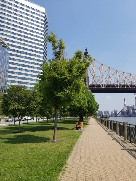 istock View of Roosevelt island 1669833484