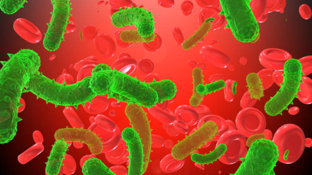 virus rabis à l’intérieur des cellules sanguines - pathogen streptococcus life science photos et images de collection