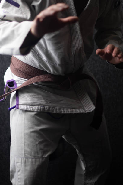 istock martail arts brown belt 1669854927