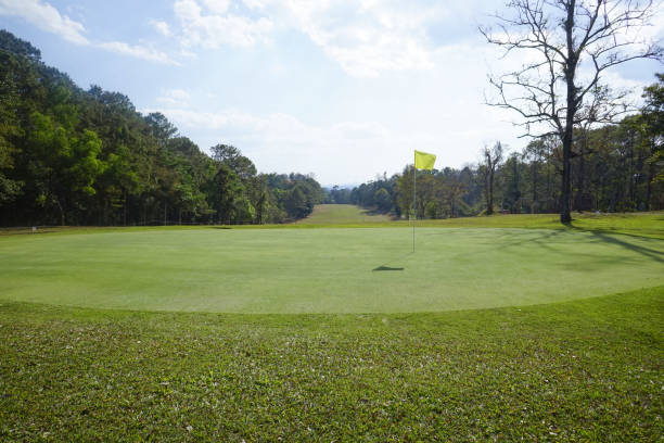 istock Background of evening golf course has sunlight shining down at golf course in Thailand. Nice scenery on a golf course at a late summer afternoon. 1669860624