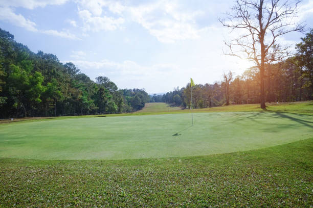 istock Background of evening golf course has sunlight shining down at golf course in Thailand. Nice scenery on a golf course at a late summer afternoon. 1669860625
