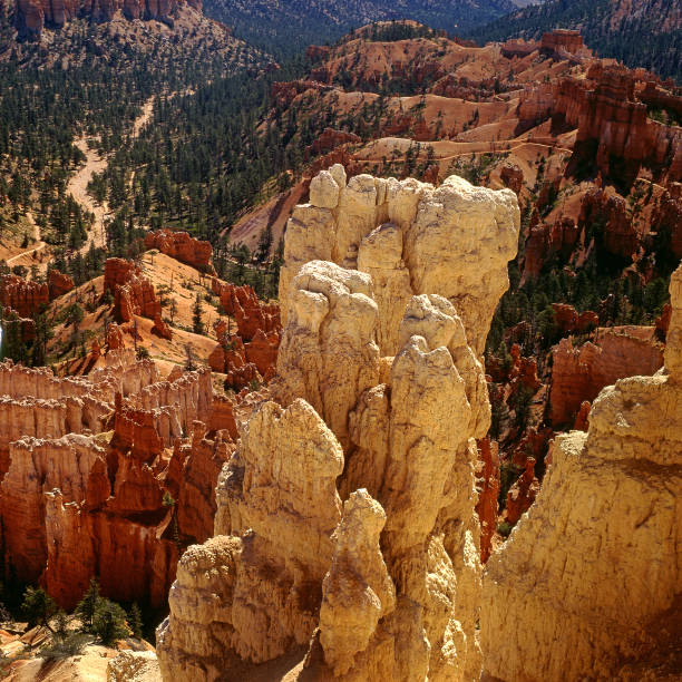 저녁 조명 - 브라이스 캐년 국립 공원, 유타, 미국 - canyon plateau large majestic 뉴스 사진 이미지