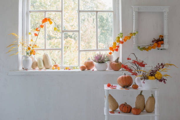 istock autumn  natural decor with pumpkins  and rowan berries on white background 1669881824