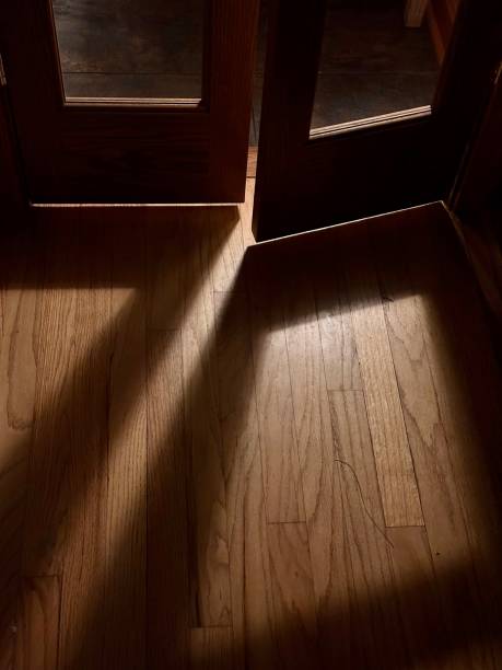 istock The door was open 1669881846
