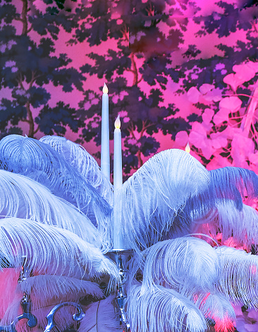 Holiday decoration. Candles and ostrich feathers.