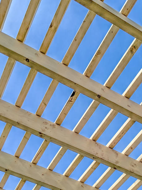 istock Looking up to blue sky through a pergola 1669953503