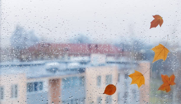 istock autumn leaves on rainy window pane 1669974033