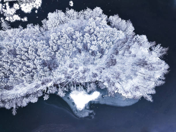 istock Top down view of white forest and river in winter. 1670042292
